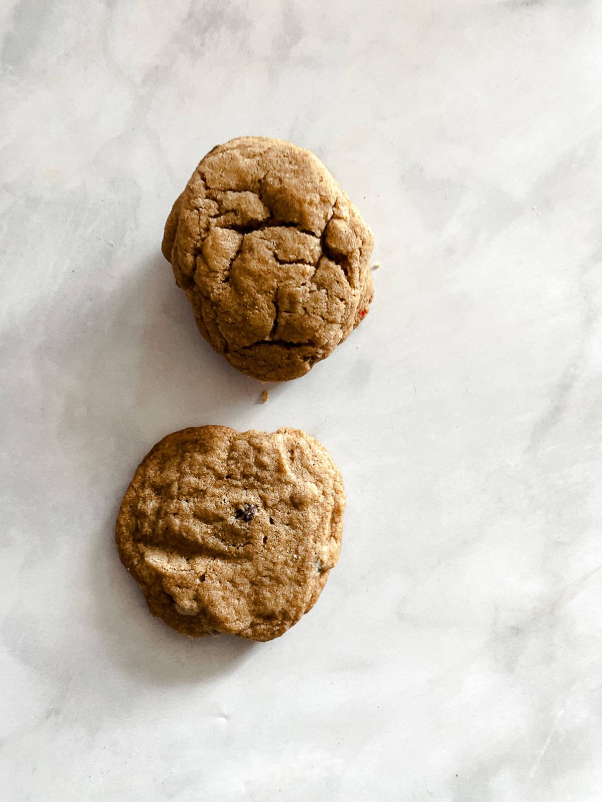 These whole wheat flour chocolate chip cookies will quickly replace your old favorite chocolate chip cookie recipe. They are THE BEST. Two whole wheat chocolate chips cookies on a counter.