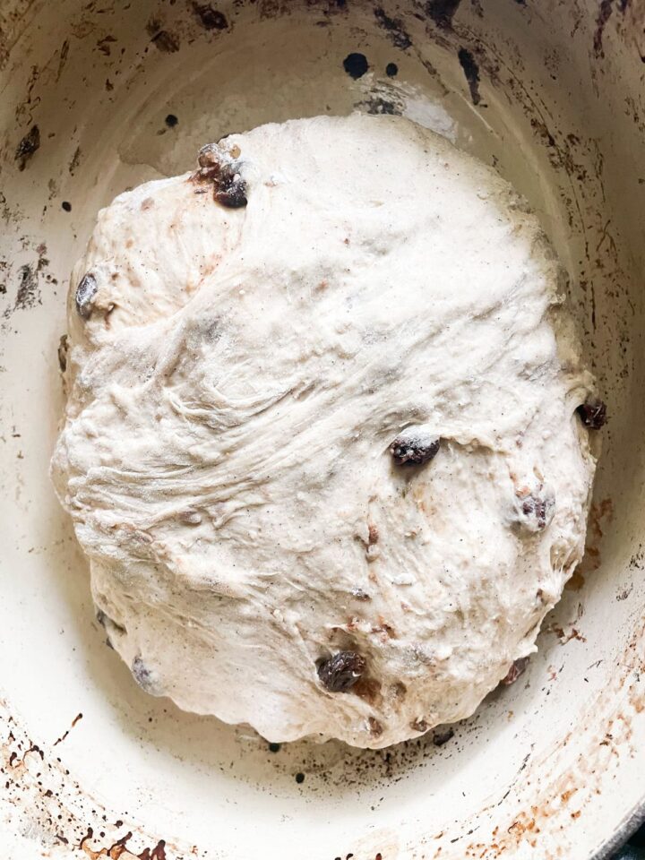 Easy no knead cinnamon raisin bread benefits from a long overnight rise and a bake in a hot Dutch oven! A fantastic recipe for beginners. Cinnamon raisin bread dough placed in a dutch oven.