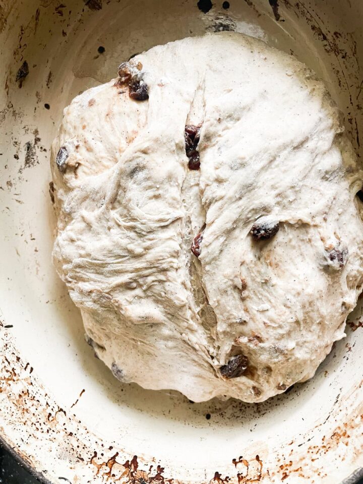 Easy no knead cinnamon raisin bread benefits from a long overnight rise and a bake in a hot Dutch oven! A fantastic recipe for beginners. Cinnamon raisin bread dough is scored.