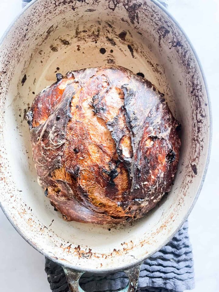 Easy no knead cinnamon raisin bread benefits from a long overnight rise and a bake in a hot Dutch oven! A fantastic recipe for beginners. A loaf of cinnamon raisin bread after being baked in a dutch oven.