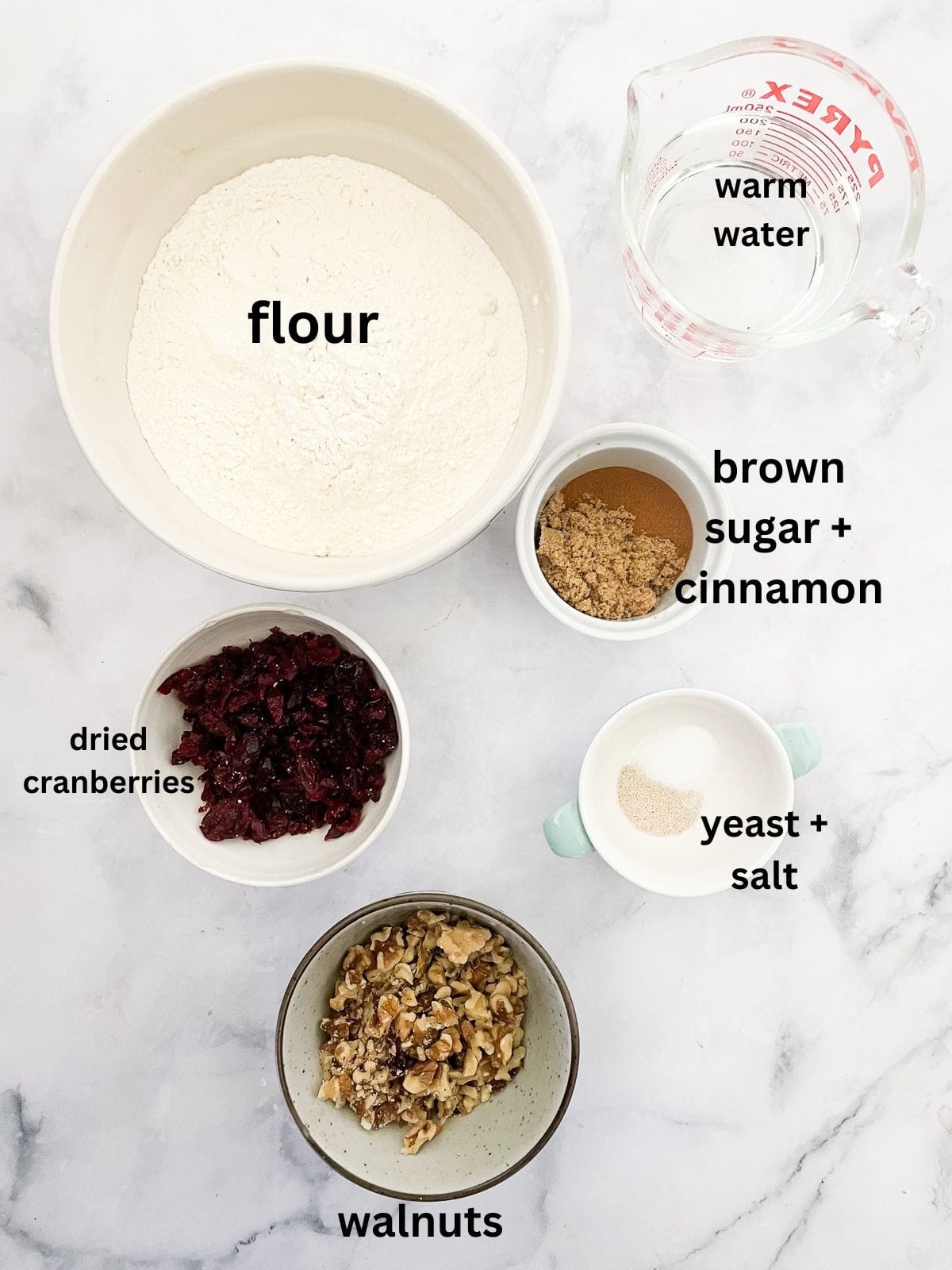 No-knead cranberry walnut bread is studded with sweet-tart dried fruit and crunchy nuts. An easy homemade version of a bakery loaf. Ingredients for cranberry walnut bread are text-labeled.