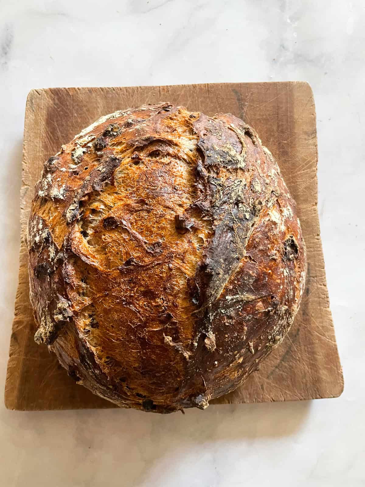 No-knead cranberry walnut bread is studded with sweet-tart dried fruit and crunchy nuts. An easy homemade version of a bakery loaf. A loaf of cranberry walnut bread on a cutting board.