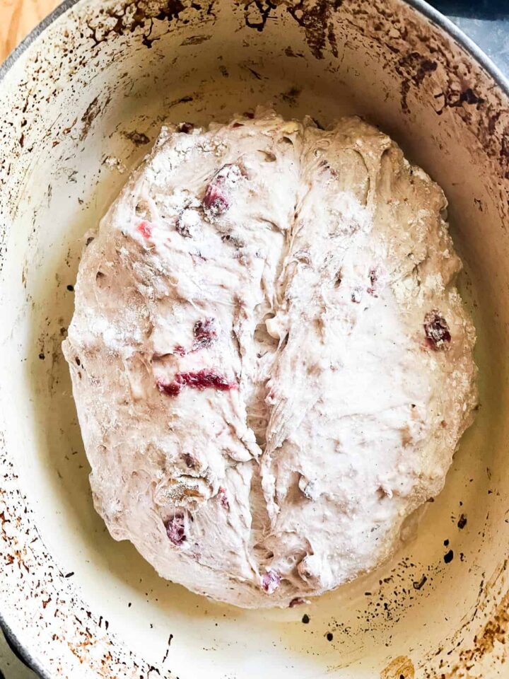 No-knead cranberry walnut bread is studded with sweet-tart dried fruit and crunchy nuts. An easy homemade version of a bakery loaf. A cranberry walnut bread scored.