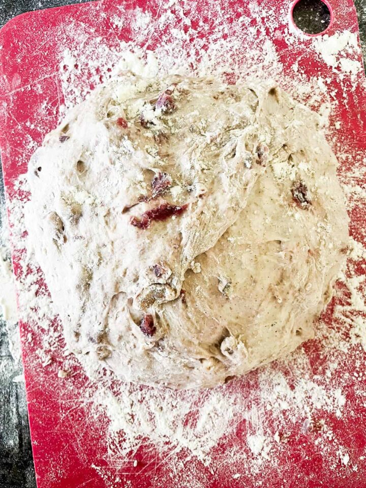 No-knead cranberry walnut bread is studded with sweet-tart dried fruit and crunchy nuts. An easy homemade version of a bakery loaf. Cranberry walnut bread after being kneaded.