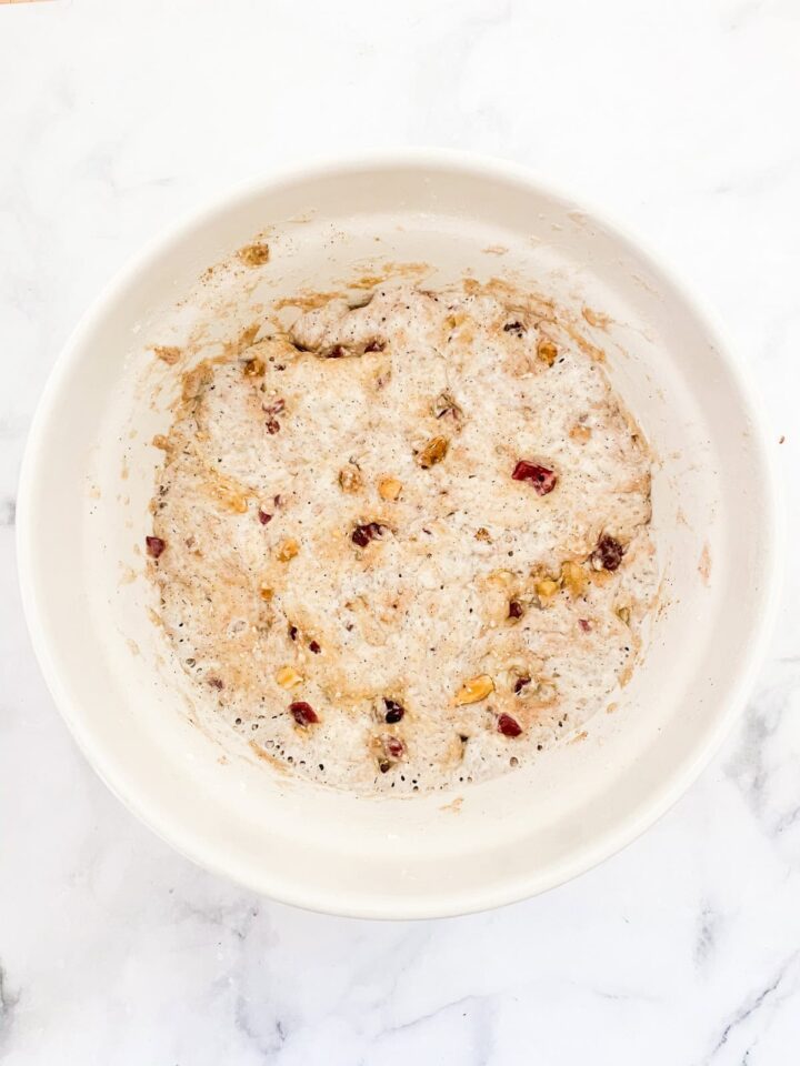 No-knead cranberry walnut bread is studded with sweet-tart dried fruit and crunchy nuts. An easy homemade version of a bakery loaf. Cranberry walnut bread dough after rising overnight