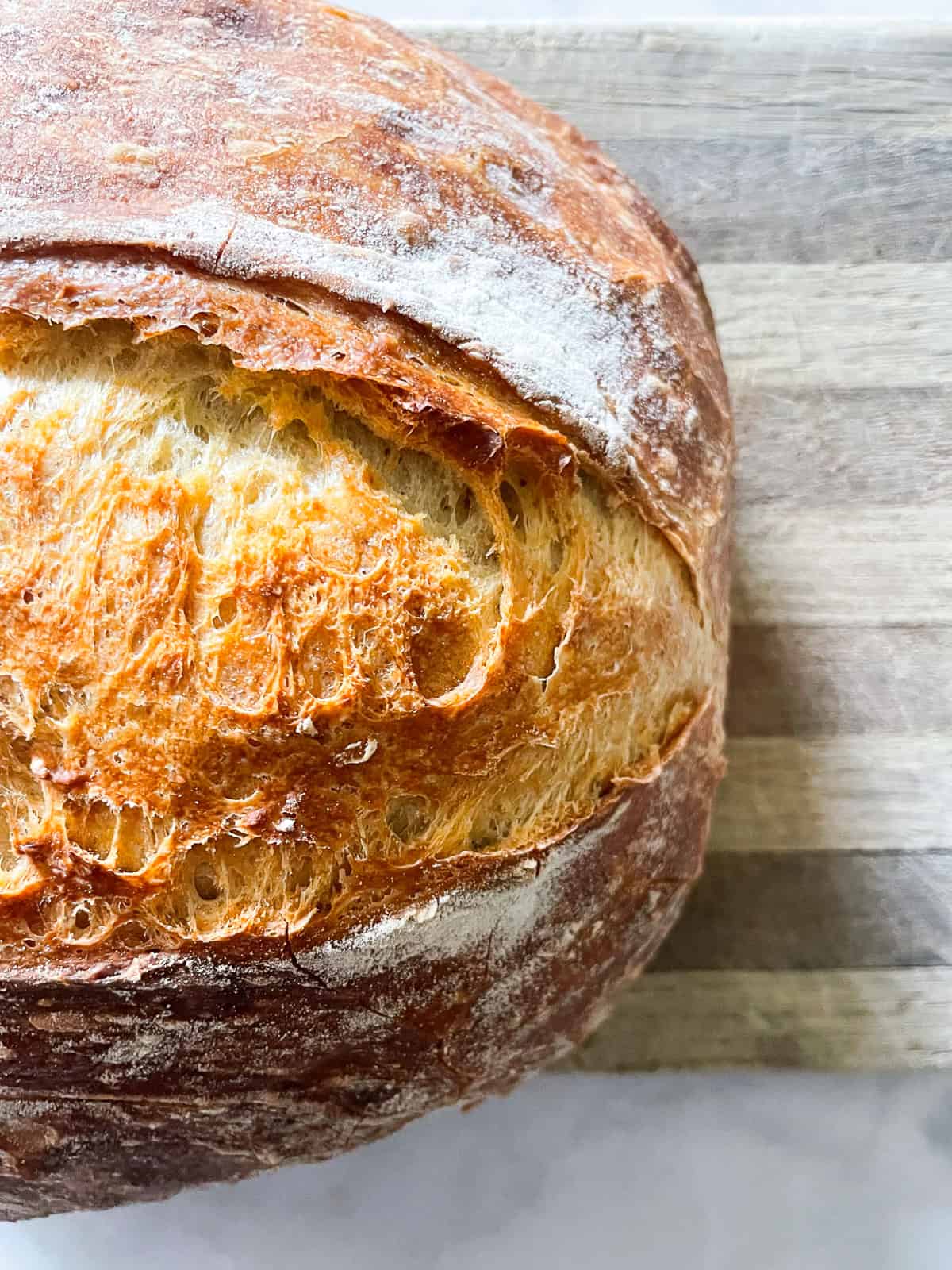 This easy no knead whole wheat bread is my version of the beloved no-knead bread recipe made with whole grain flour.Easy dutch oven bread is my version of the beloved no knead bread recipe. Made with 4 ingredients and baked to golden perfection. A brown crust on a loaf of no knead whole wheat bread.