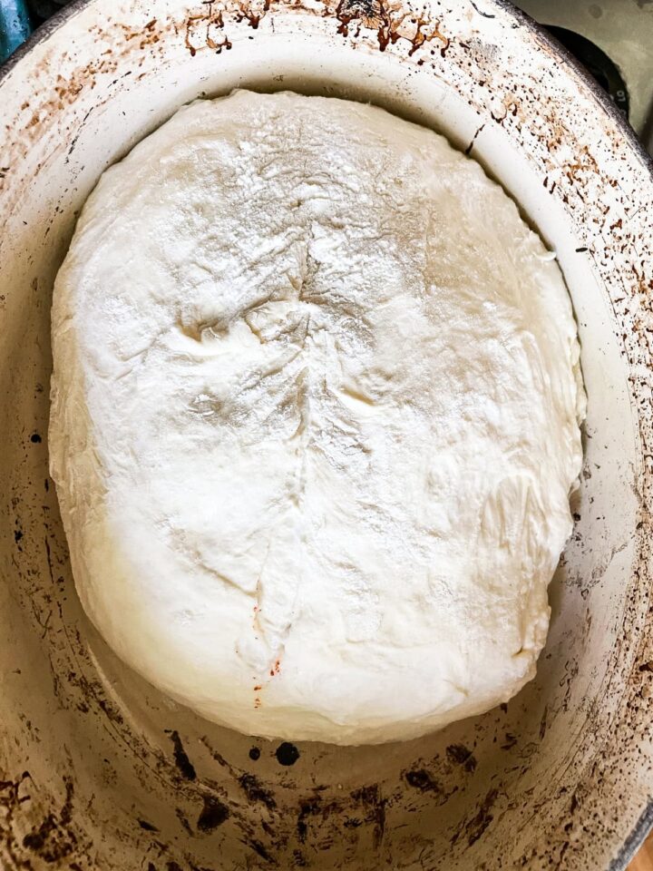 This easy no knead whole wheat bread is my version of the beloved no-knead bread recipe made with whole grain flour. A loaf of bread is scored.