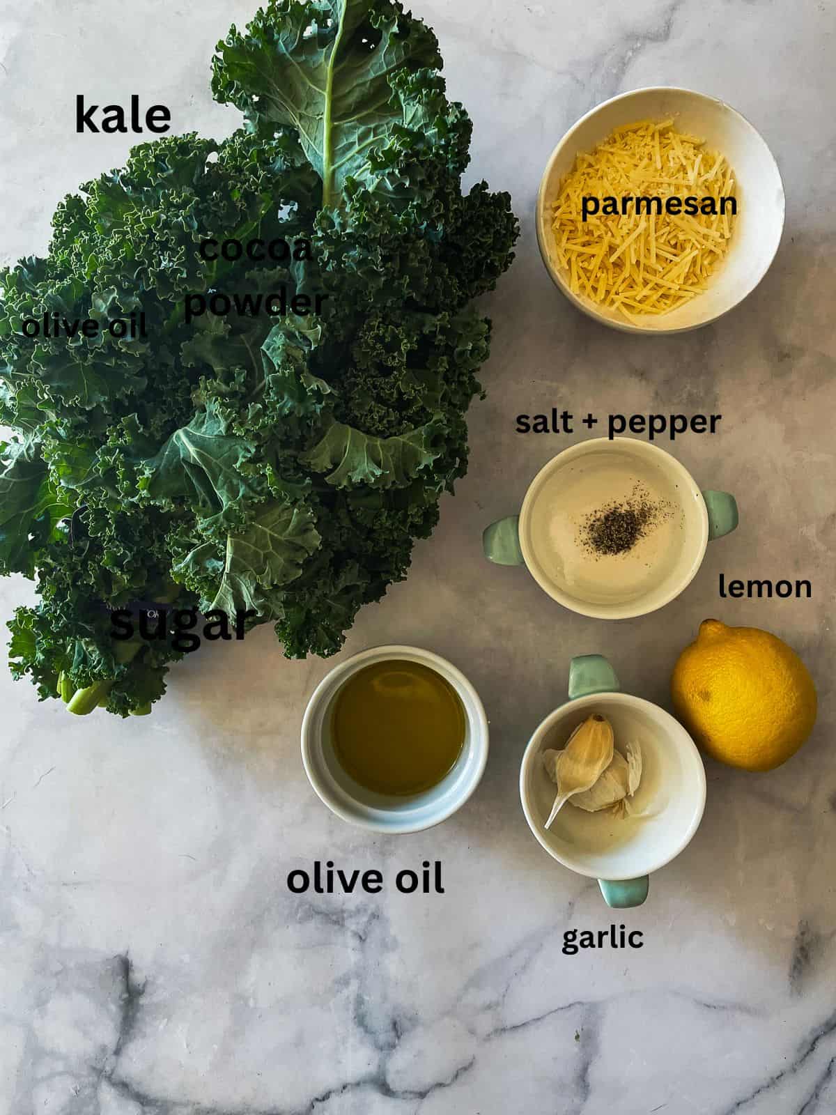 This easy, vegetarian kale pasta sauce is made from garlic sizzled in olive oil, bright green kale, and a bit of lemon zest for extra flavor. Ingredients for kale pasta sauce are text-labele.