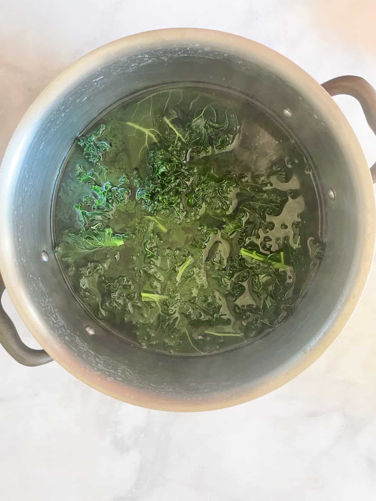 This easy, vegetarian kale pasta sauce is made from garlic sizzled in olive oil, bright green kale, and a bit of lemon zest for extra flavor. Kale cooks in boiling water.
