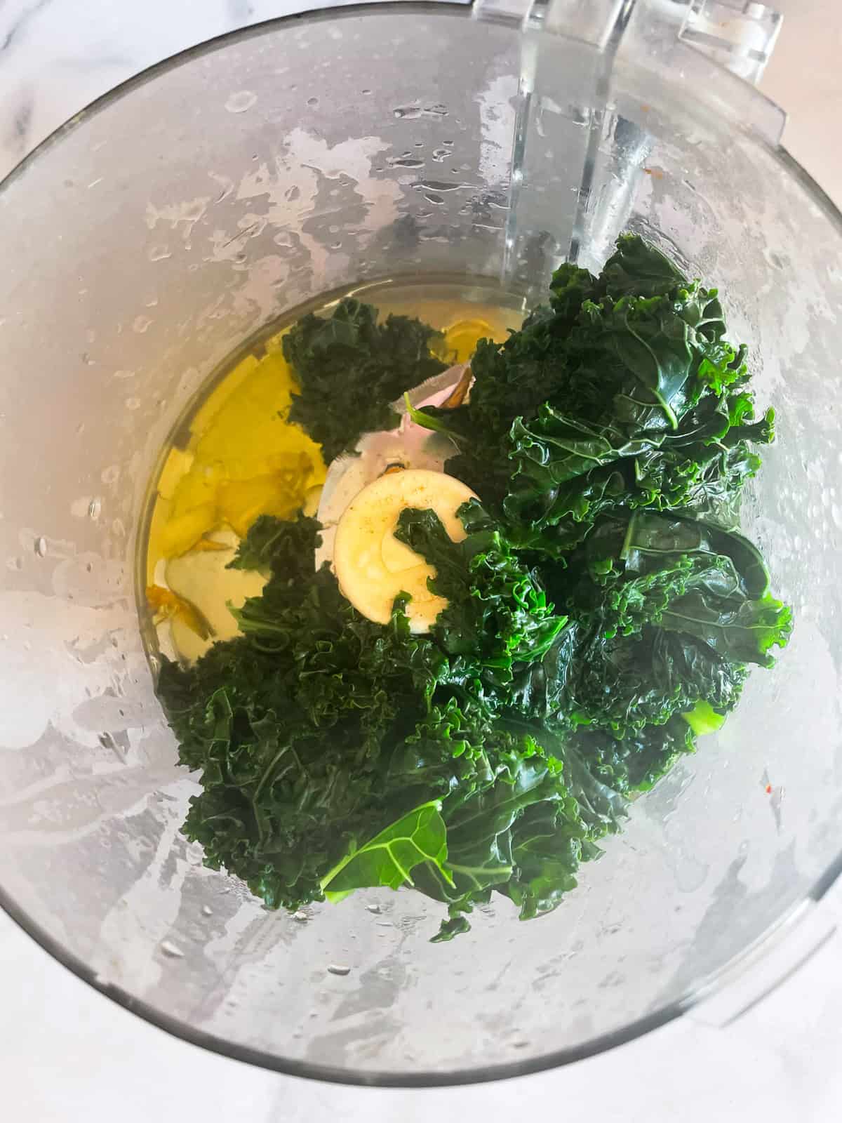 This easy, vegetarian kale pasta sauce is made from garlic sizzled in olive oil, bright green kale, and a bit of lemon zest for extra flavor. Garlic, cooked kale, and olive oil in a food processor.